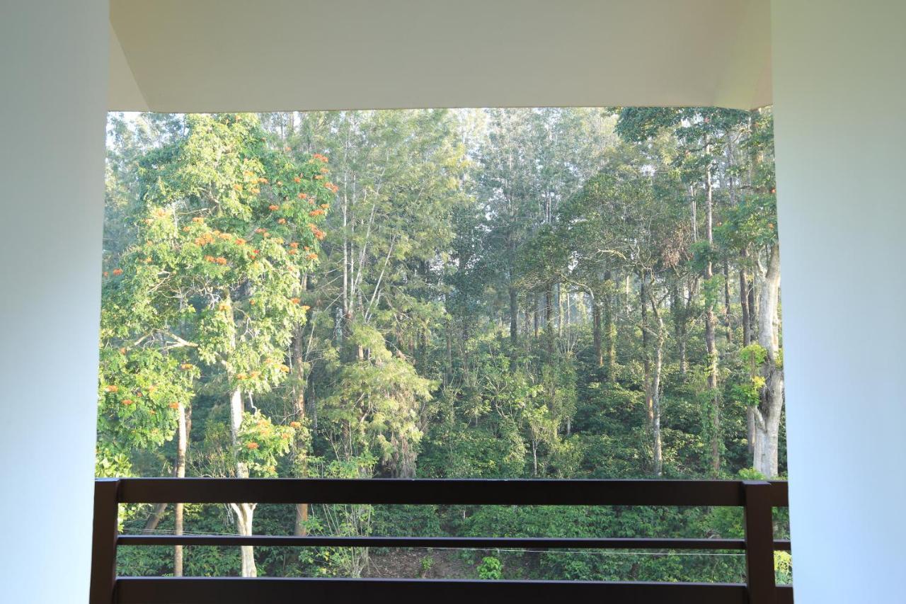 Aditi Thekkady Exteriör bild
