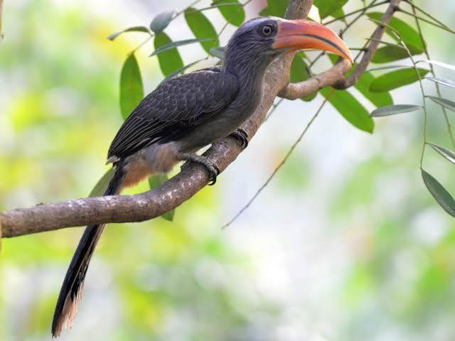 Aditi Thekkady Exteriör bild
