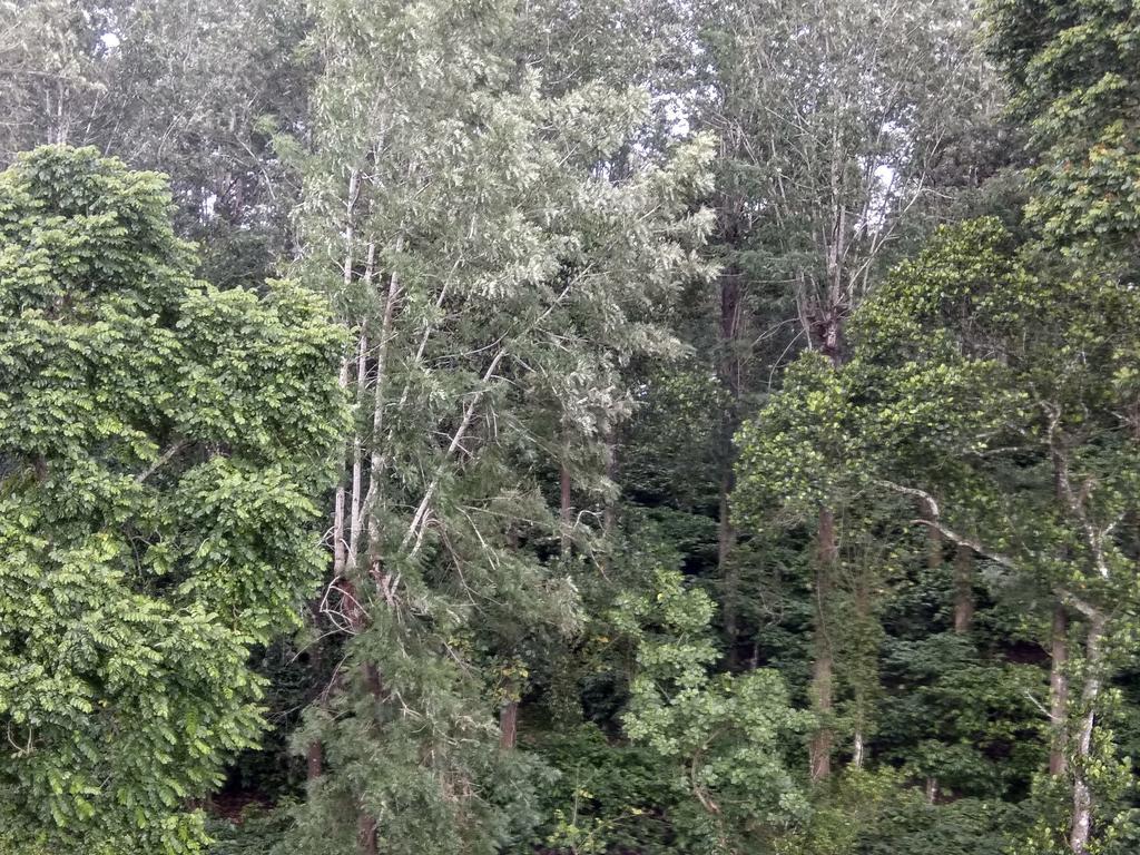 Aditi Thekkady Exteriör bild